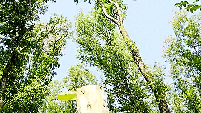 Trailer_Mesmeriza_34_01_MOV_CINEMA_CLIP_543_20240902095301621