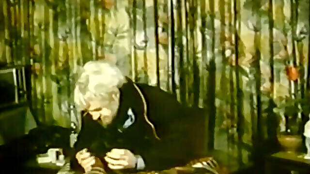 Der Fickvoyeur 2 1993